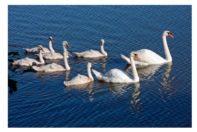 1710293512120986.png image.png